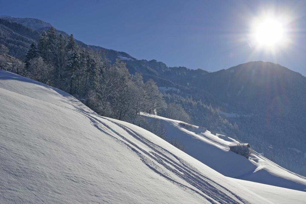 Haus Alpenfriede Apartamento Ramsau im Zillertal Exterior foto