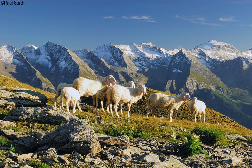 Haus Alpenfriede Apartamento Ramsau im Zillertal Quarto foto