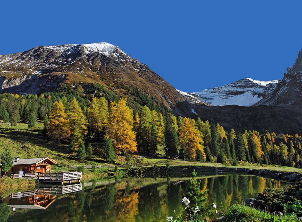 Haus Alpenfriede Apartamento Ramsau im Zillertal Exterior foto